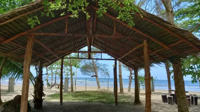 Gambar 4 daripada 6 - Picnic Hut